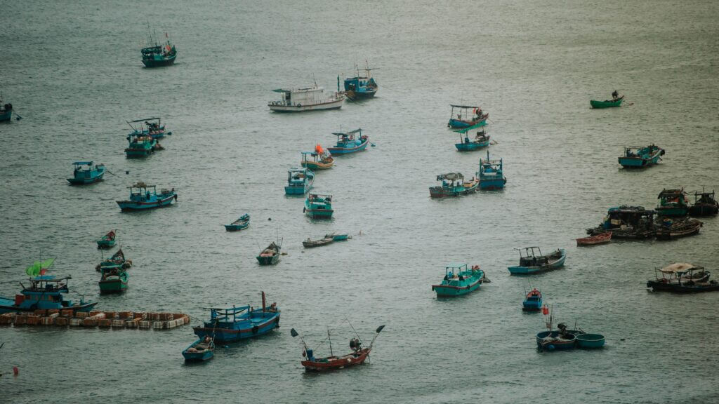 fishing boats in the bay